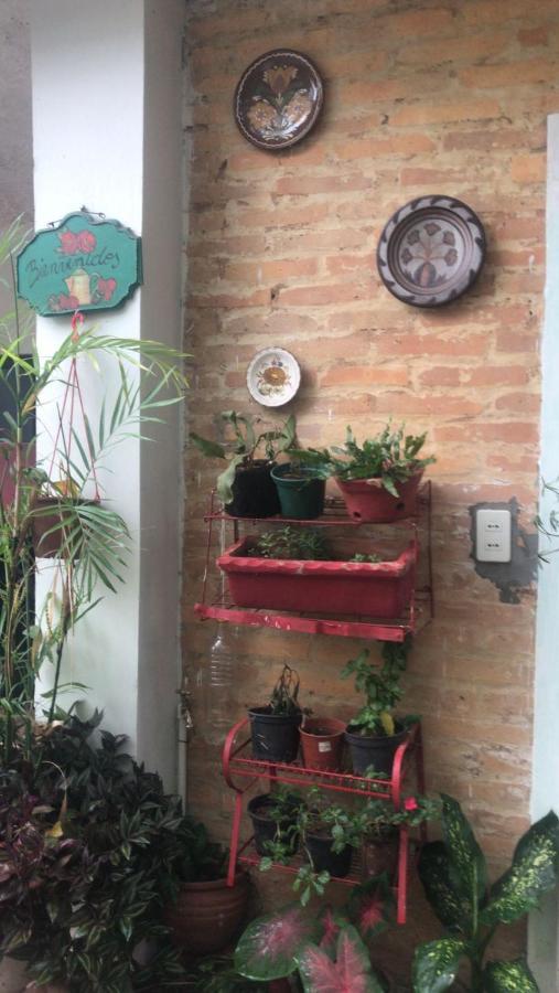 La Petite Maison De Diana Asunción Exteriér fotografie