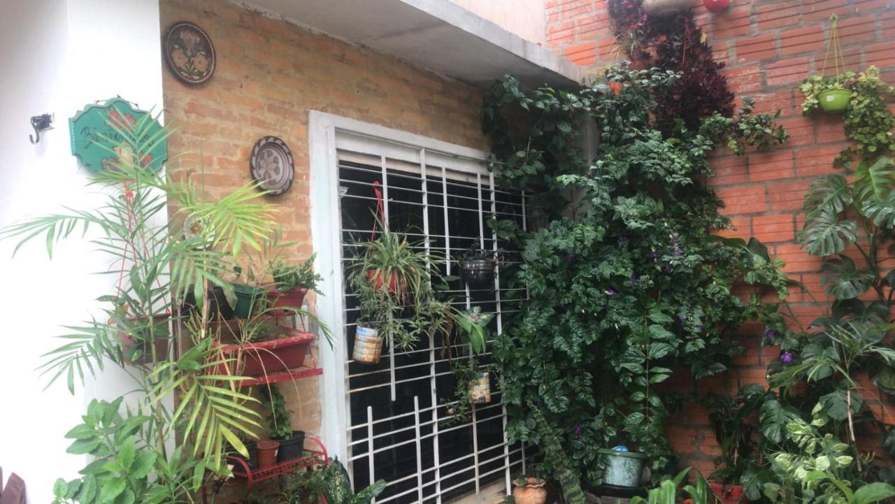La Petite Maison De Diana Asunción Exteriér fotografie
