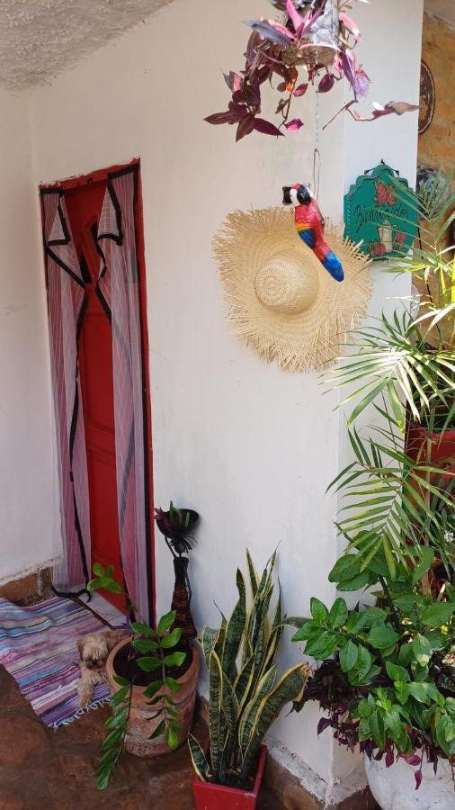 La Petite Maison De Diana Asunción Exteriér fotografie