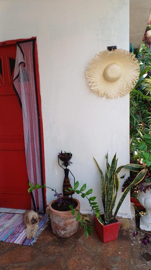 La Petite Maison De Diana Asunción Exteriér fotografie