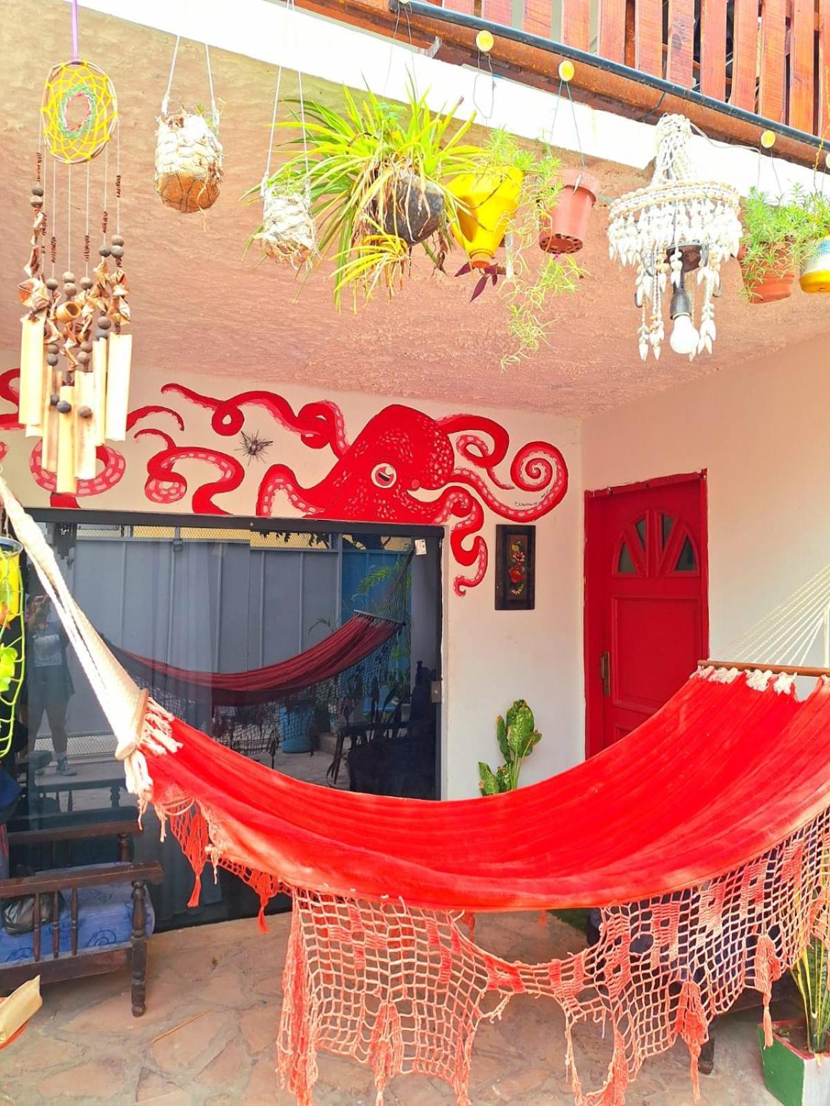 La Petite Maison De Diana Asunción Exteriér fotografie