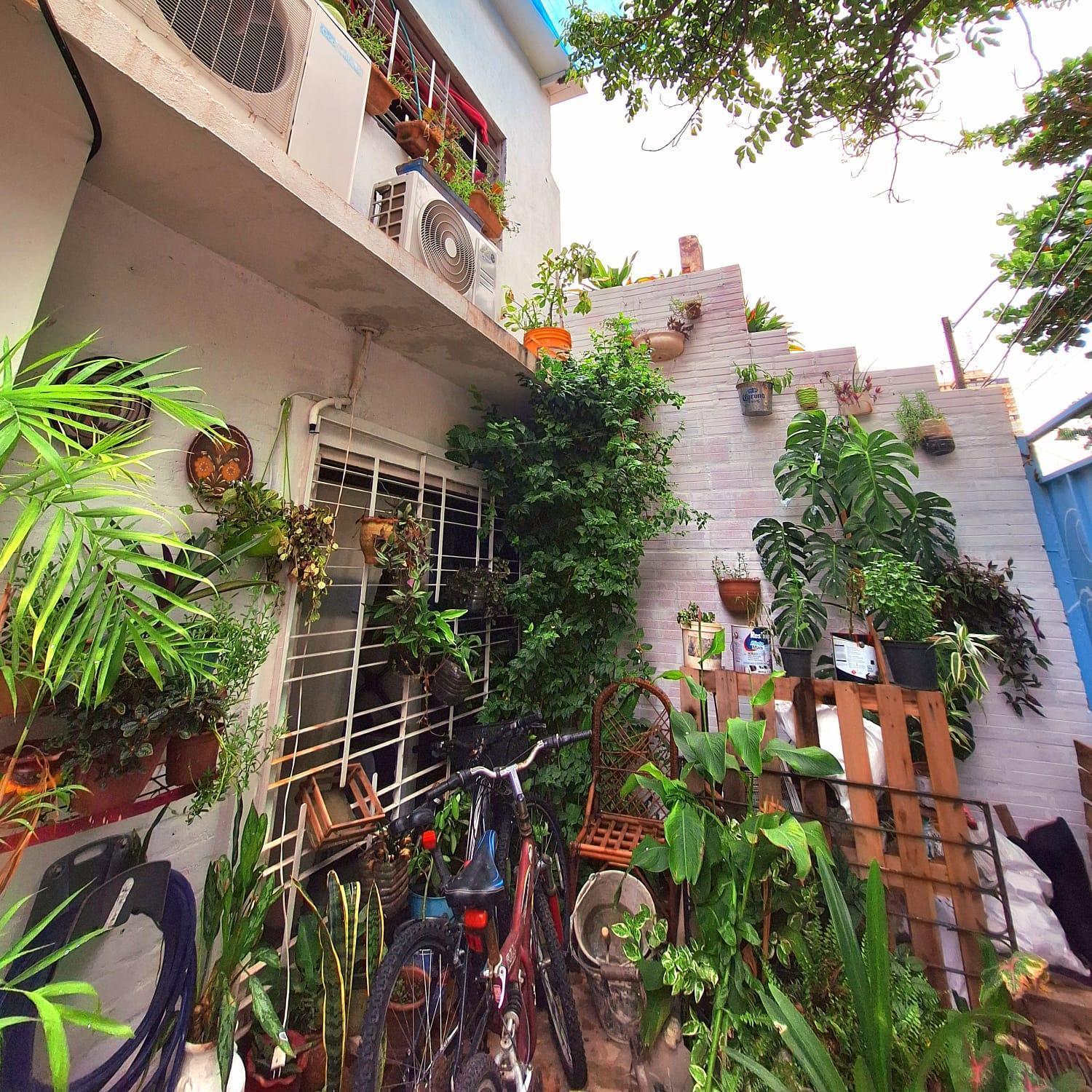 La Petite Maison De Diana Asunción Exteriér fotografie